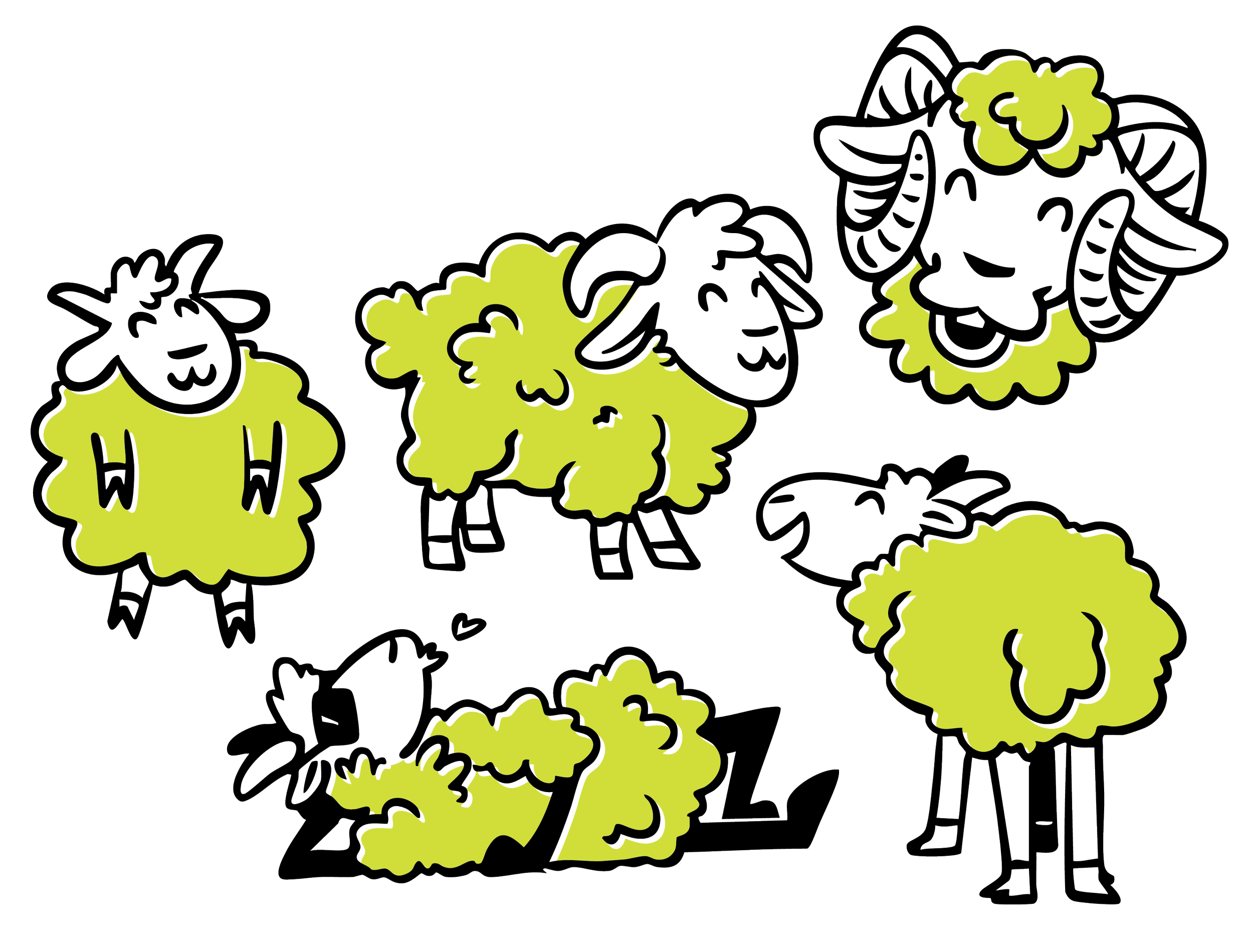 Doodle-CAMs.png