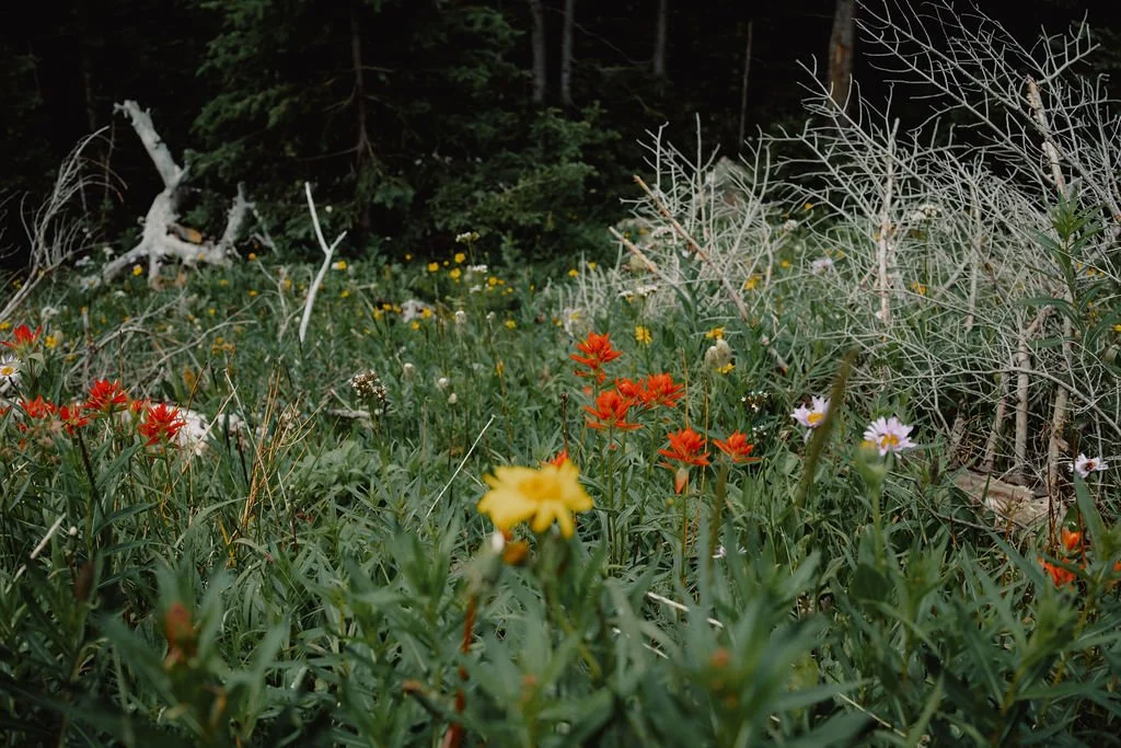 Fractional Marketing Partner vs Traditional Agency: Why Businesses Are Choosing the Hybrid Model