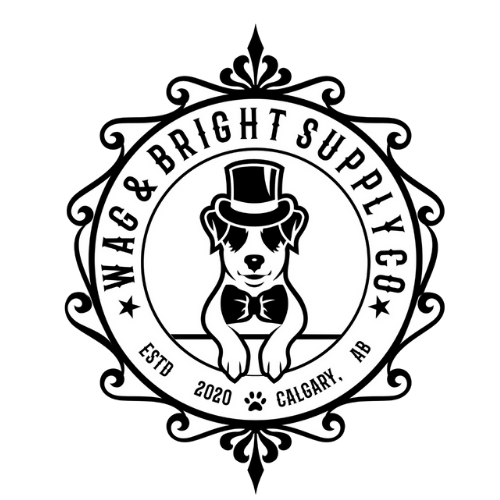 Wag & Bright Supply Co. | Ongoing Fractional Marketing Leadership & Brand Strategy