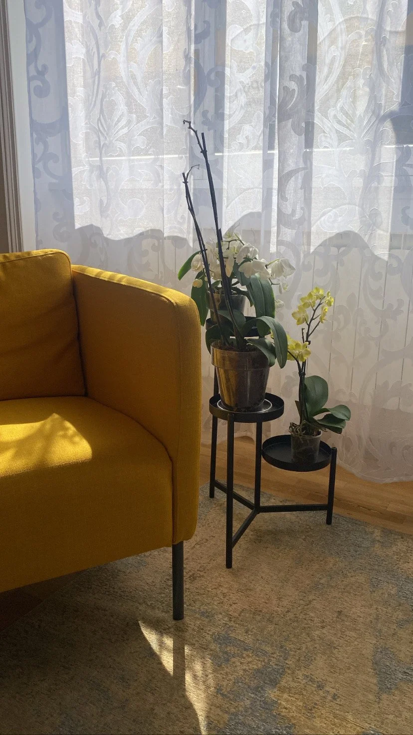 Stanza di psicoterapia presso lo Studio PROSOPON a Roma, con divano confortevole per sedute individuali e colloqui psicologici in un ambiente sereno e riservato.