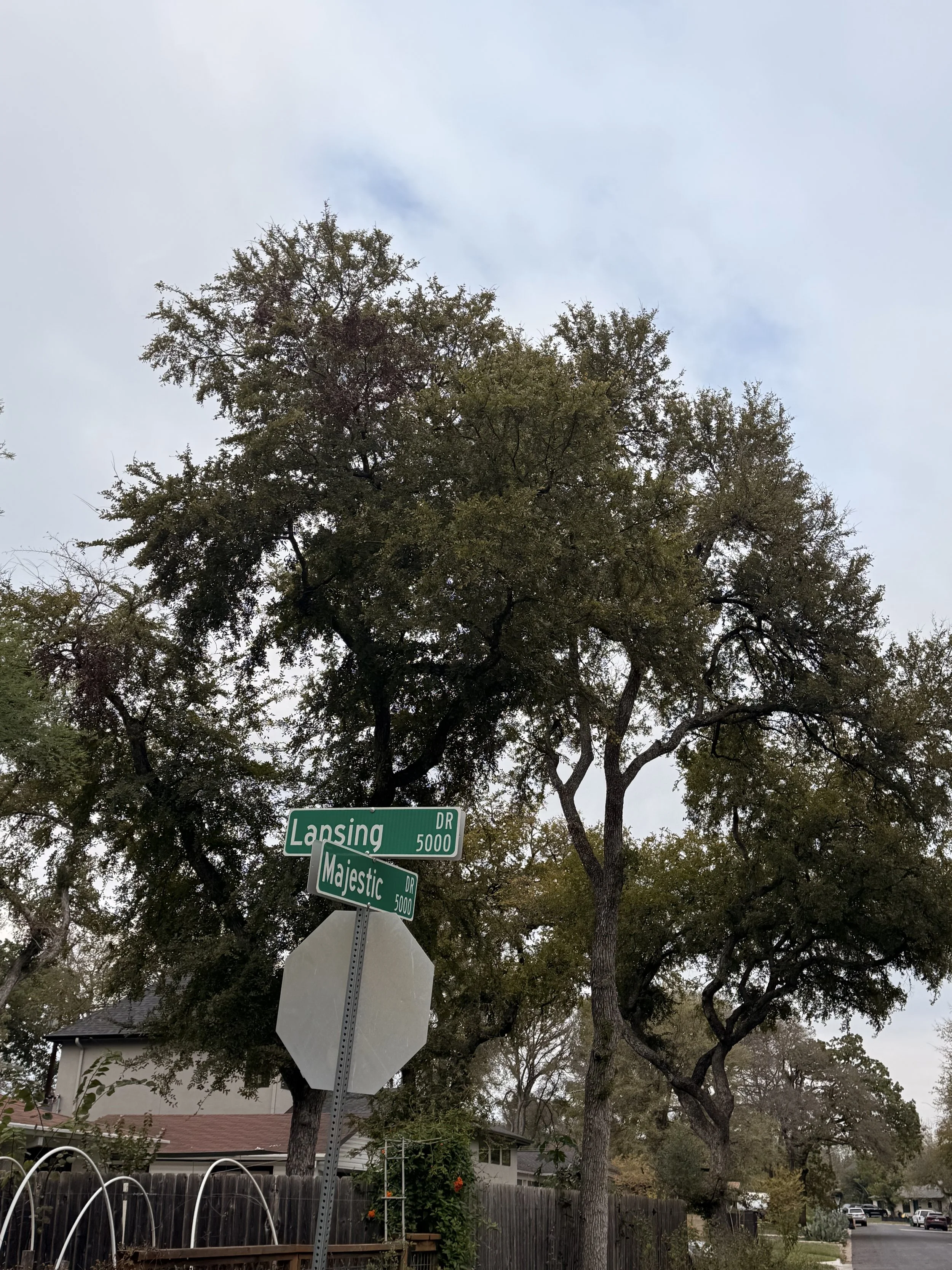 A photo from the corner of Lansing and Majestic in Southwood