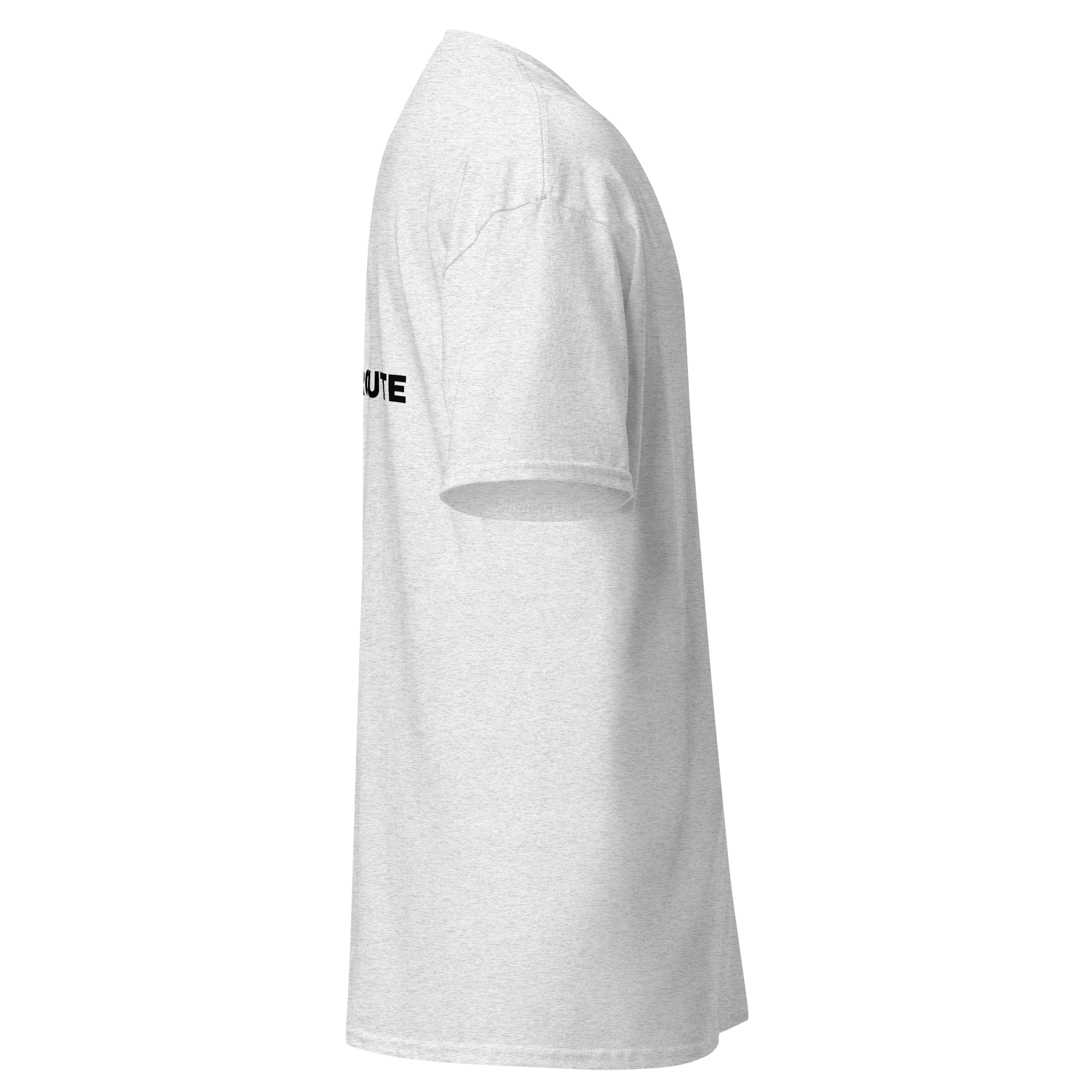 unisex-classic-tee-ash-right-67d072e9c9c8c.png