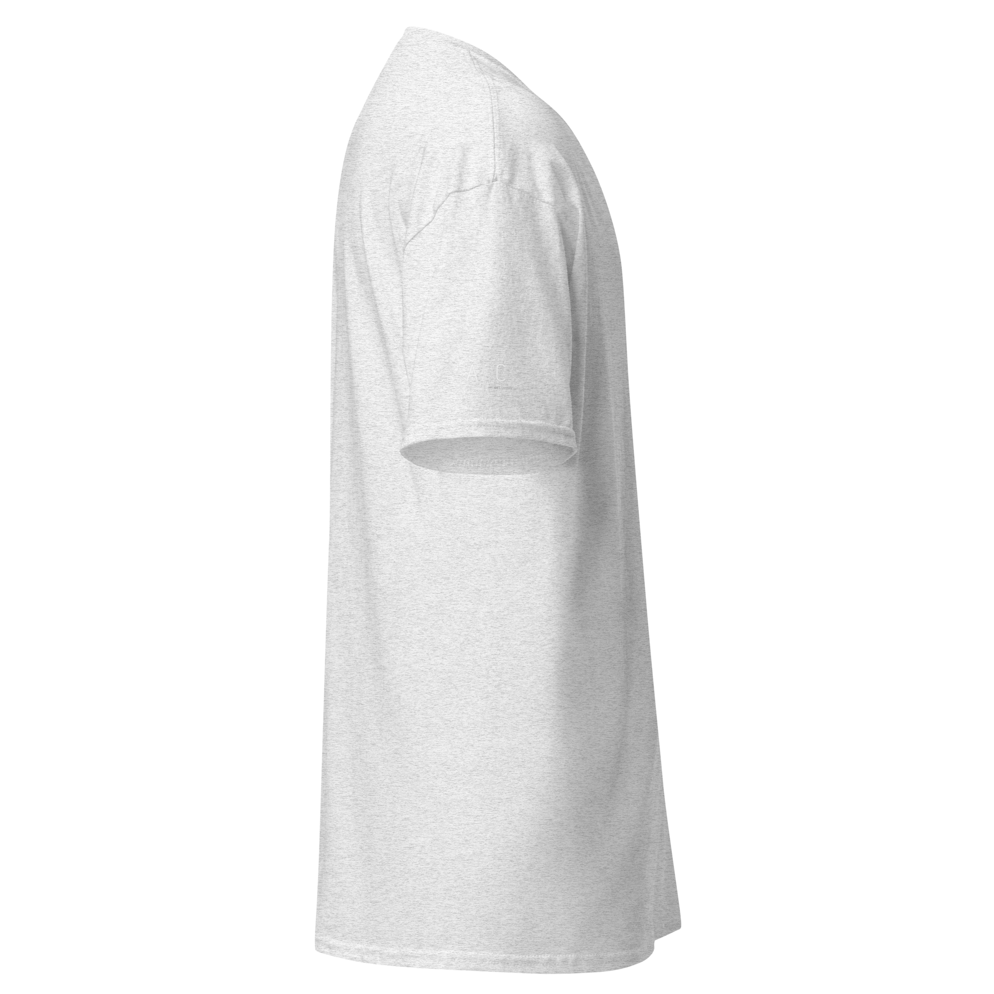 unisex-classic-tee-ash-right-67ca13a743cf0.png
