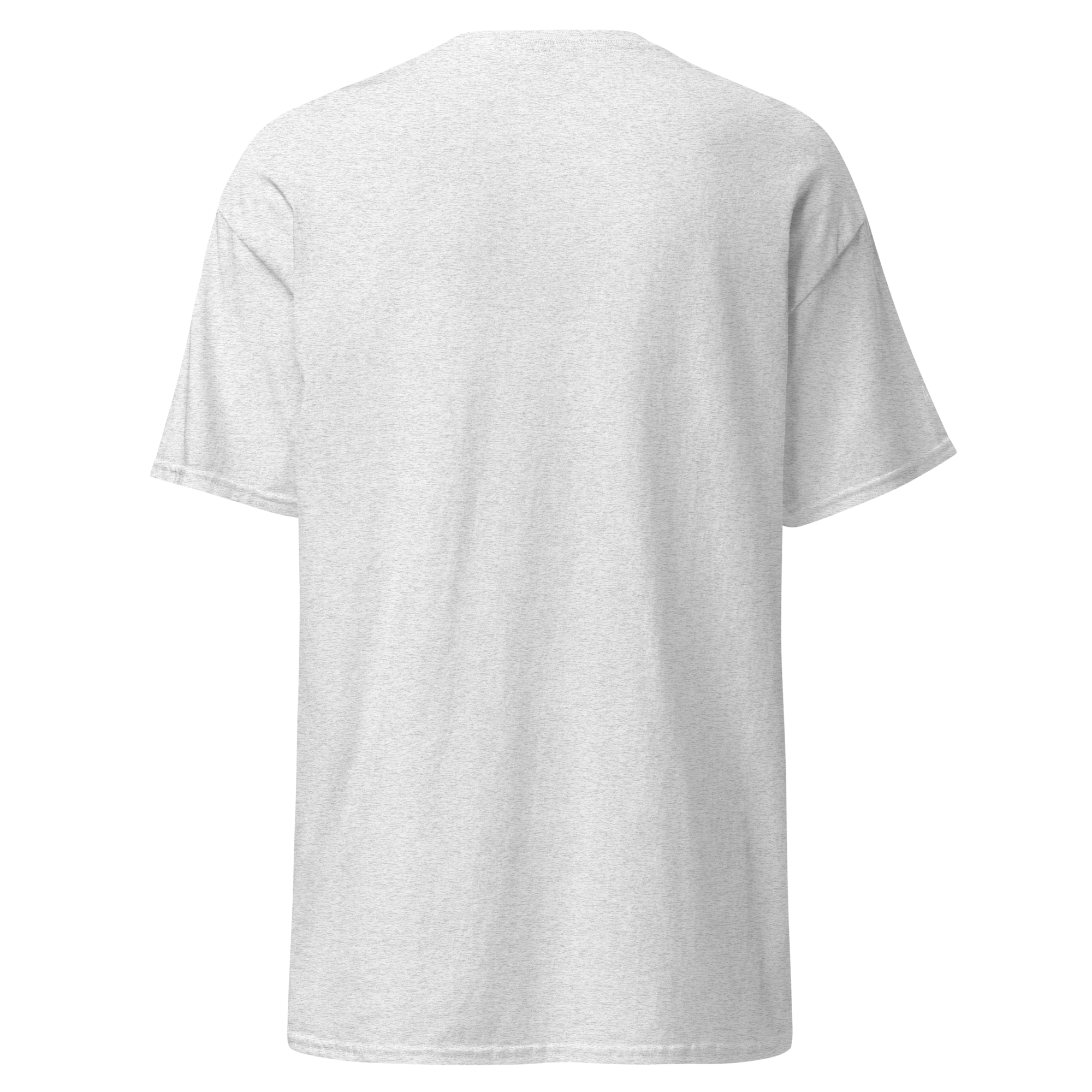 unisex-classic-tee-ash-back-67ca13a74458d.png