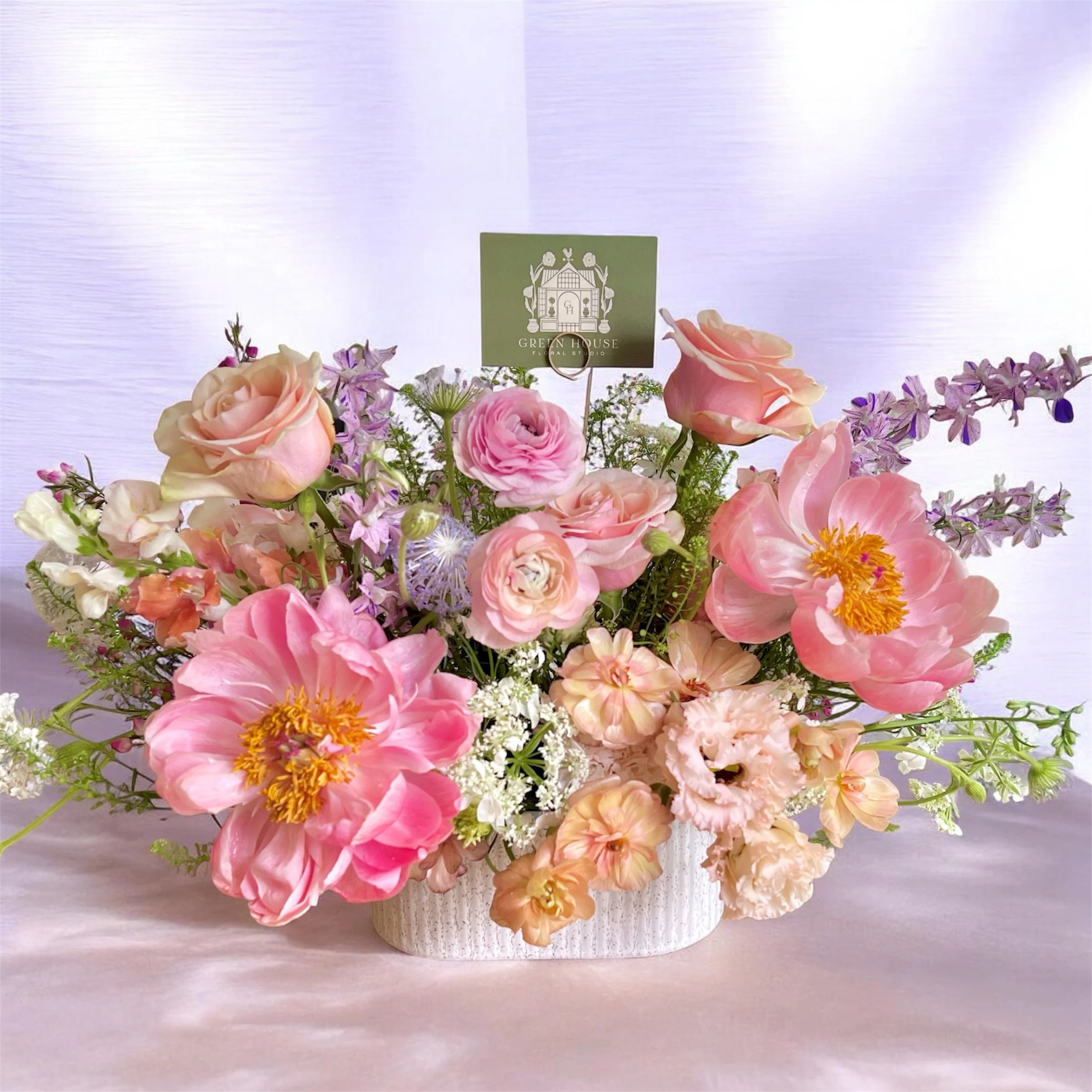 Photoroom_20260326_165149.JPG