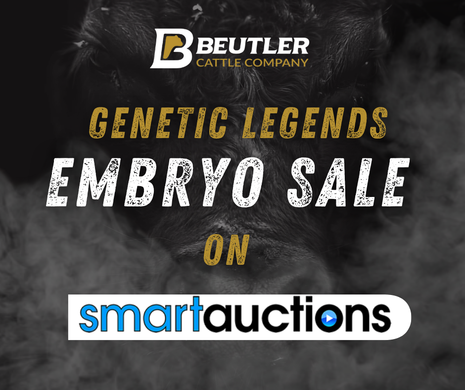 Genetic Legends Embryo Sale 