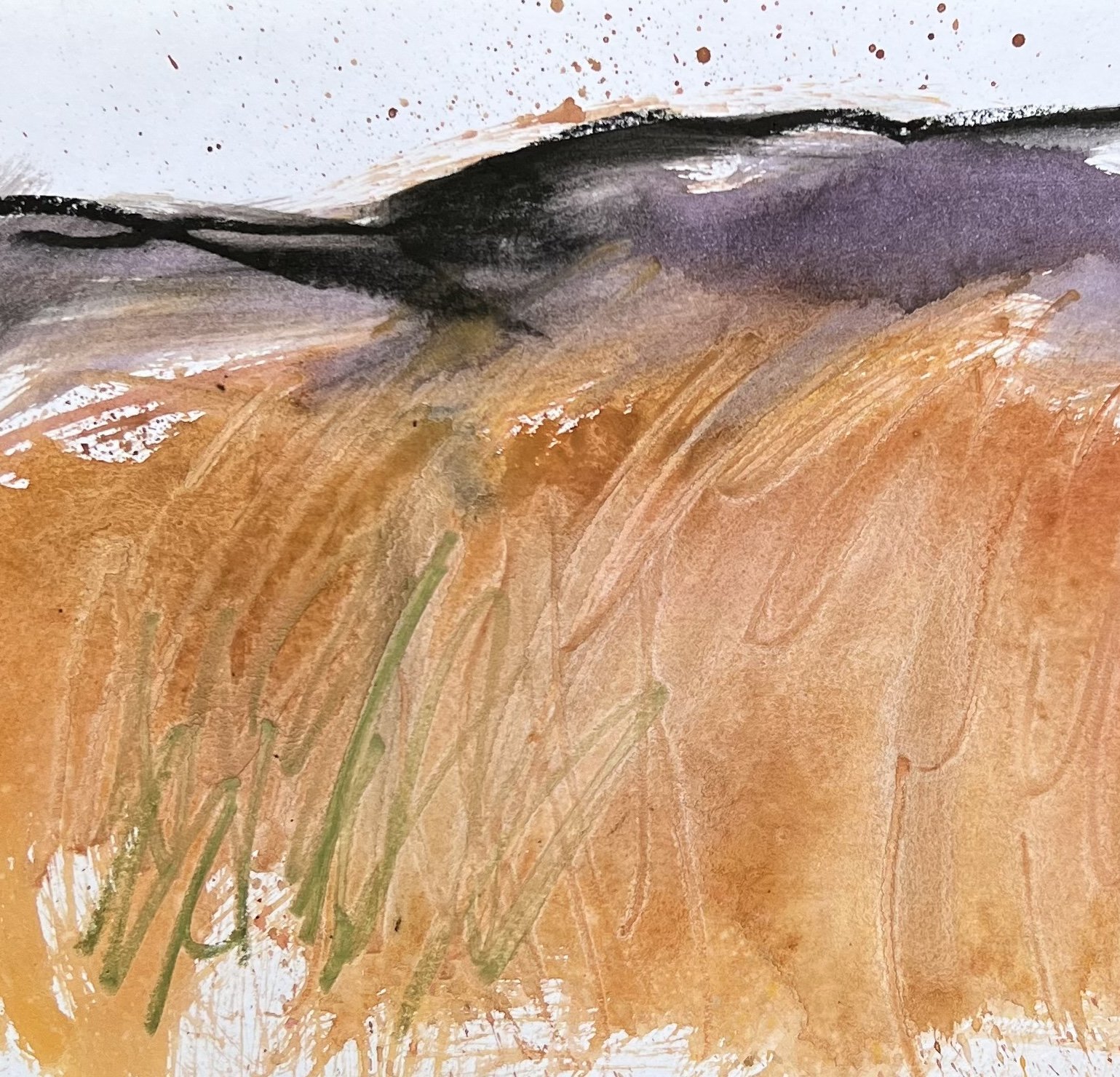 MoorlandStudy_08_square.jpeg