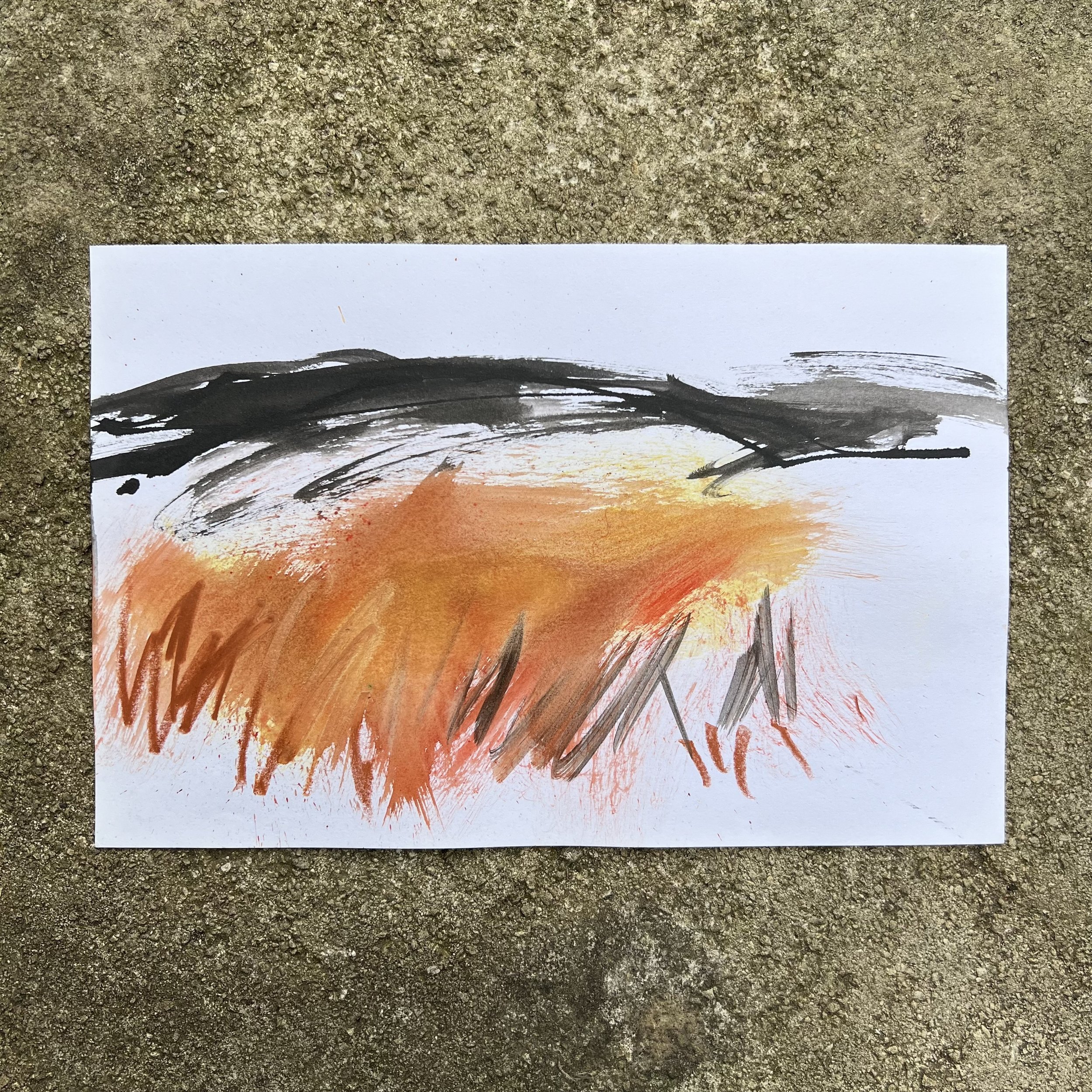 MoorlandStudy_09_full.jpeg