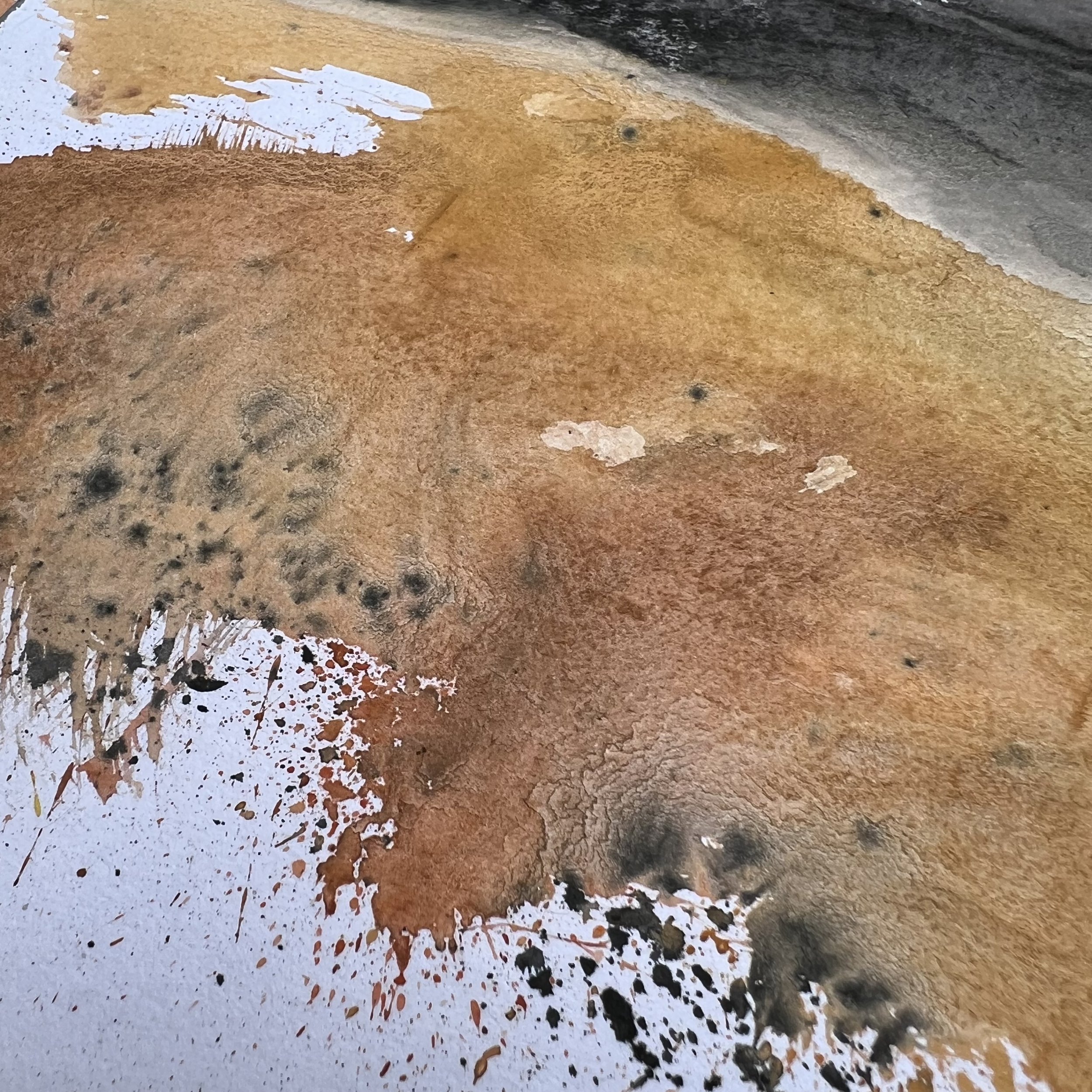 MoorlandStudy_07_detail.jpeg