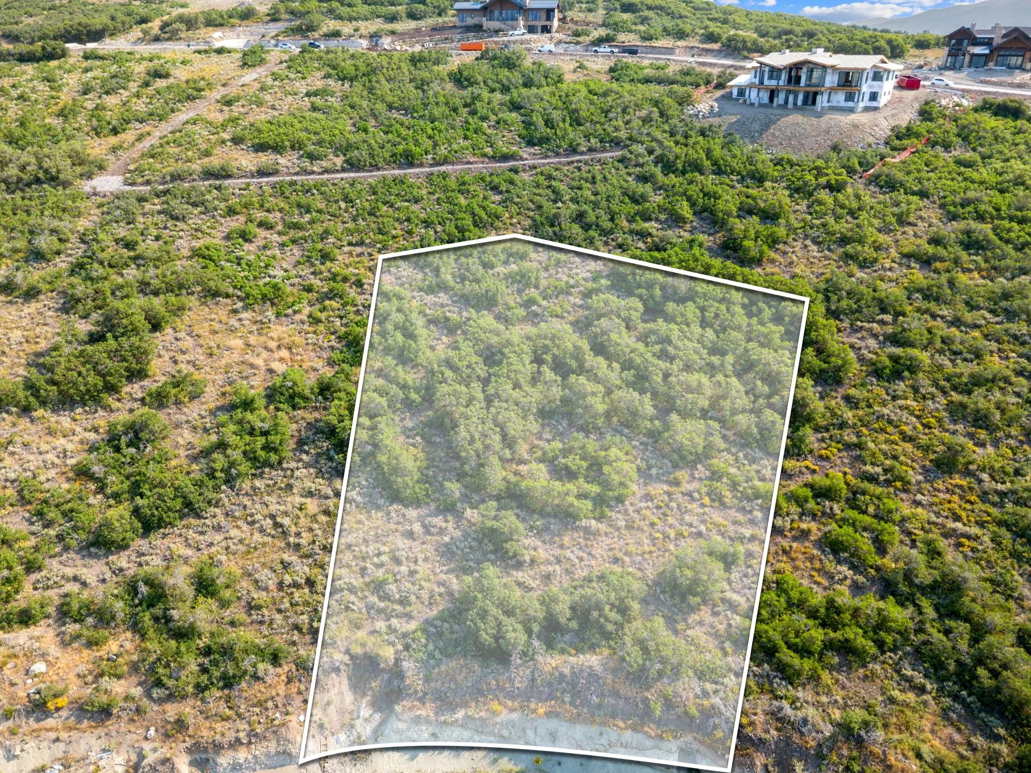 DJI_0520Lot.jpg