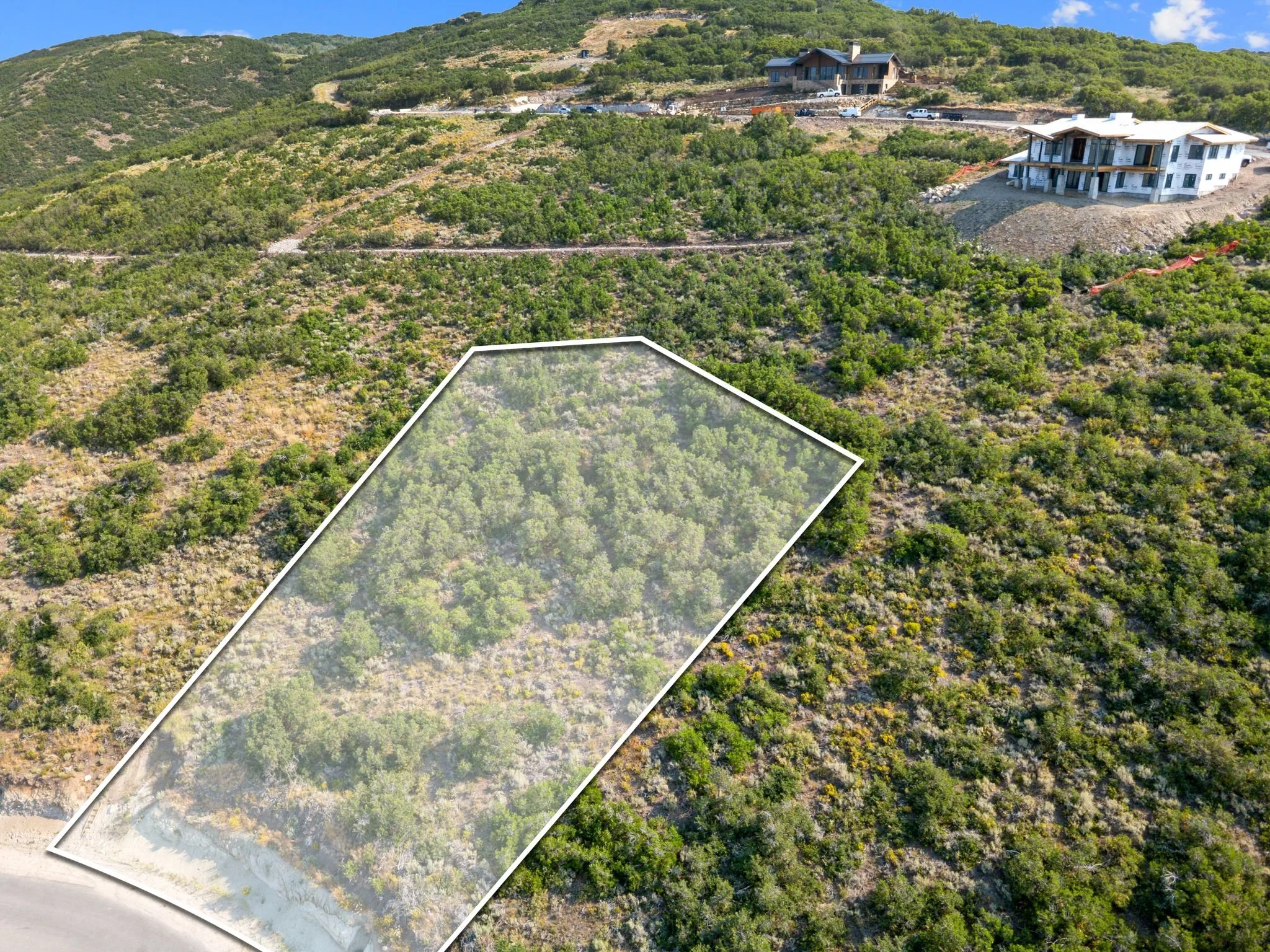 DJI_0521Lot.jpg