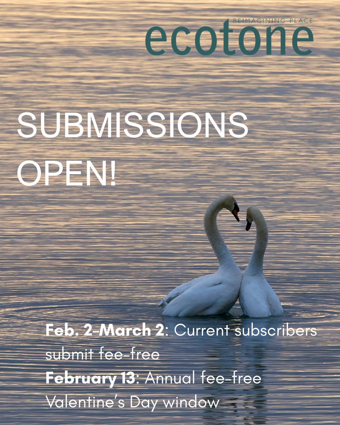 SUBMISSIONS OPEN!.png