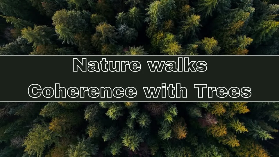 Mindfulness & Heartfulness Walk in nature