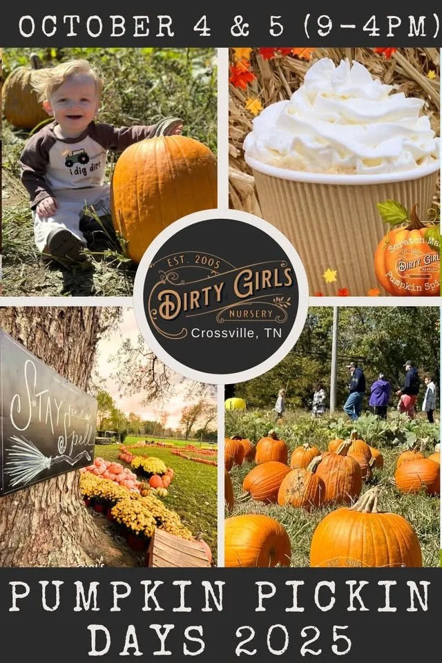 Pumpkin Pickin