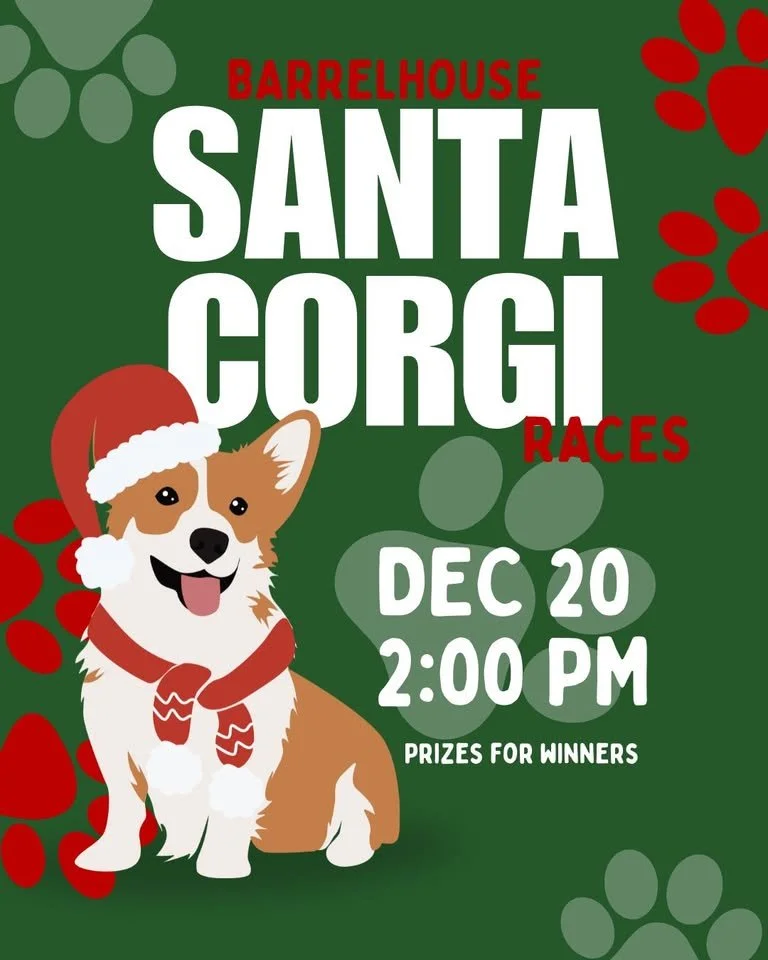 Santa Corgi Race 