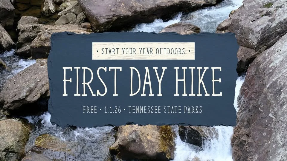 First Day Hike to Birchfield Camp 