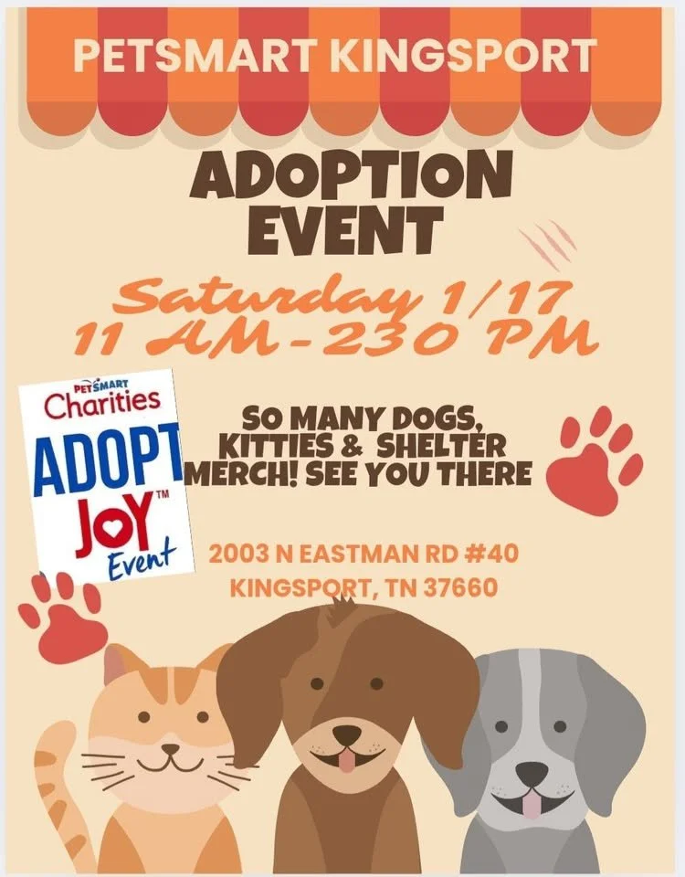 Adoption Joy Event 