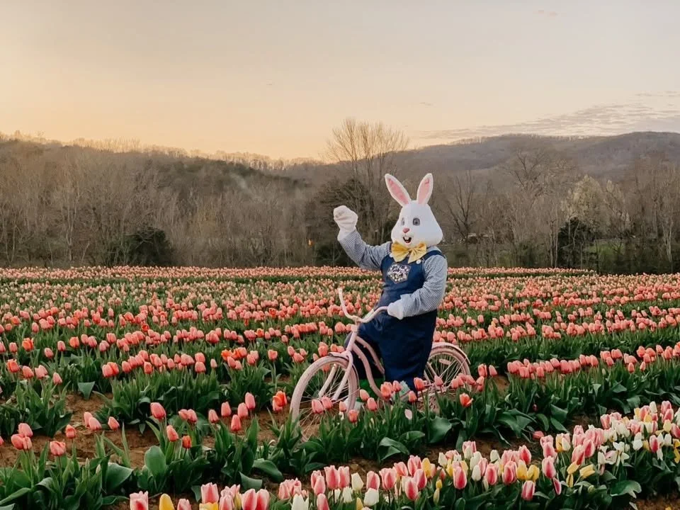 Easter Egg Hunt and Market at the Tulip Farm 