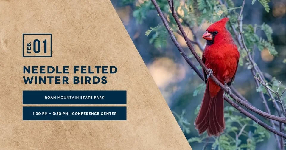 Needle Felted Winter Birds