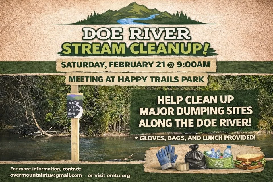 Doe River Cleanup