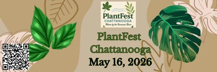 PlantFest 