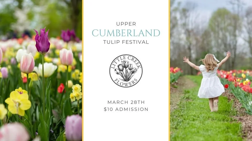 Upper Cumberland Tulip Festival