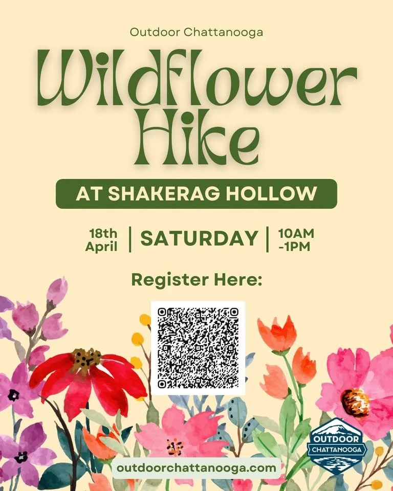 Wildflower Hike at Shakerag Hollow 