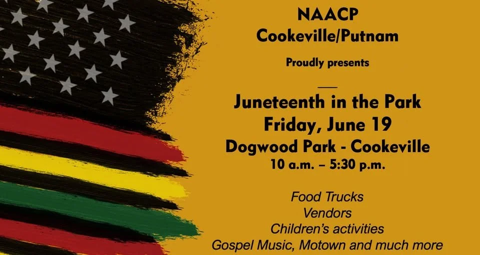 Juneteenth in the Park 