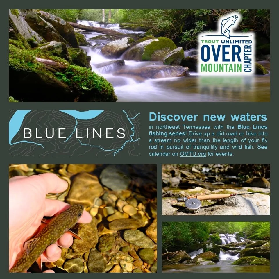 Blue Lines Fishing Series: Roan Mountain 
