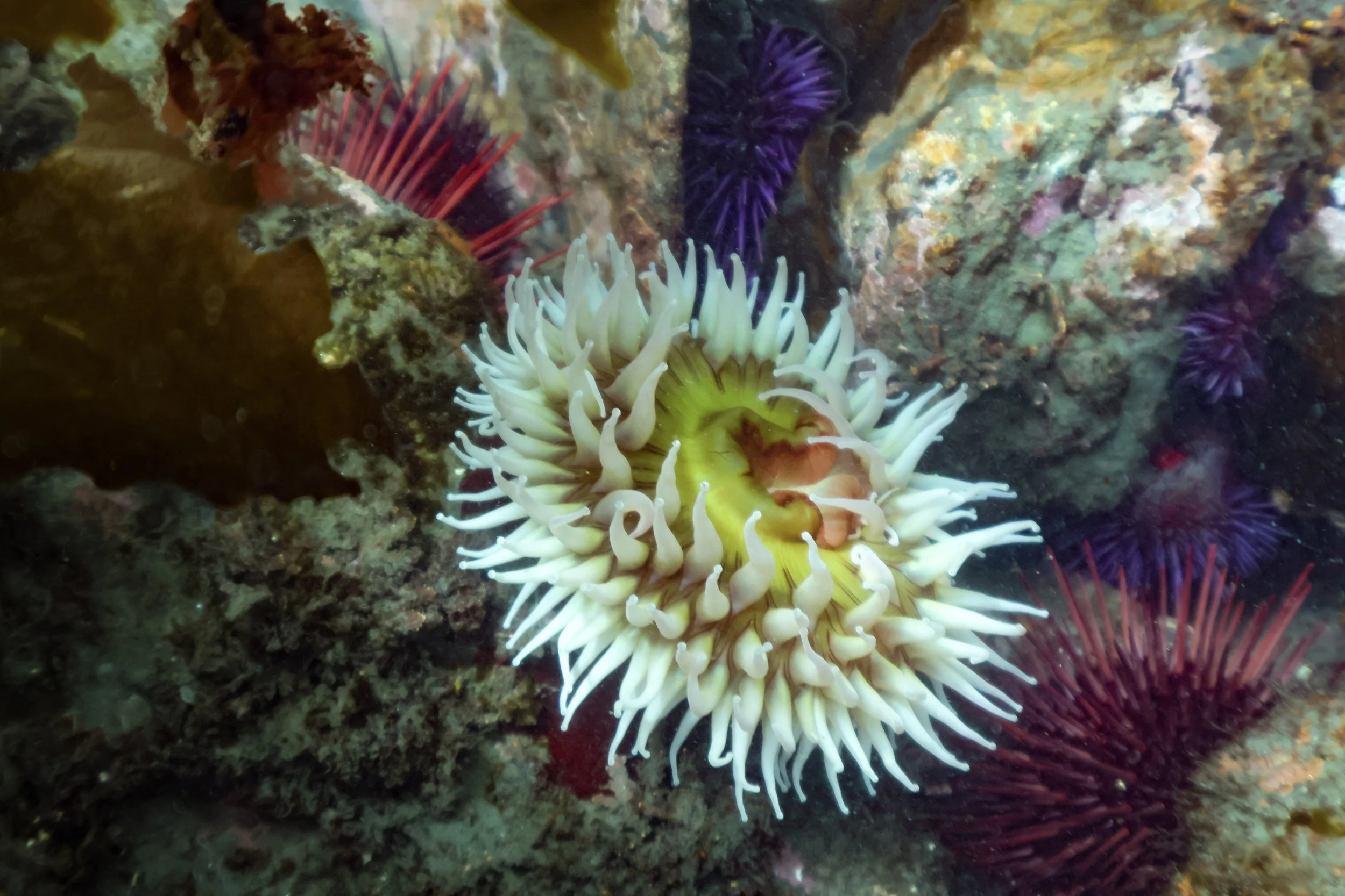 3-East Sooke April 14 2024_-24.jpg