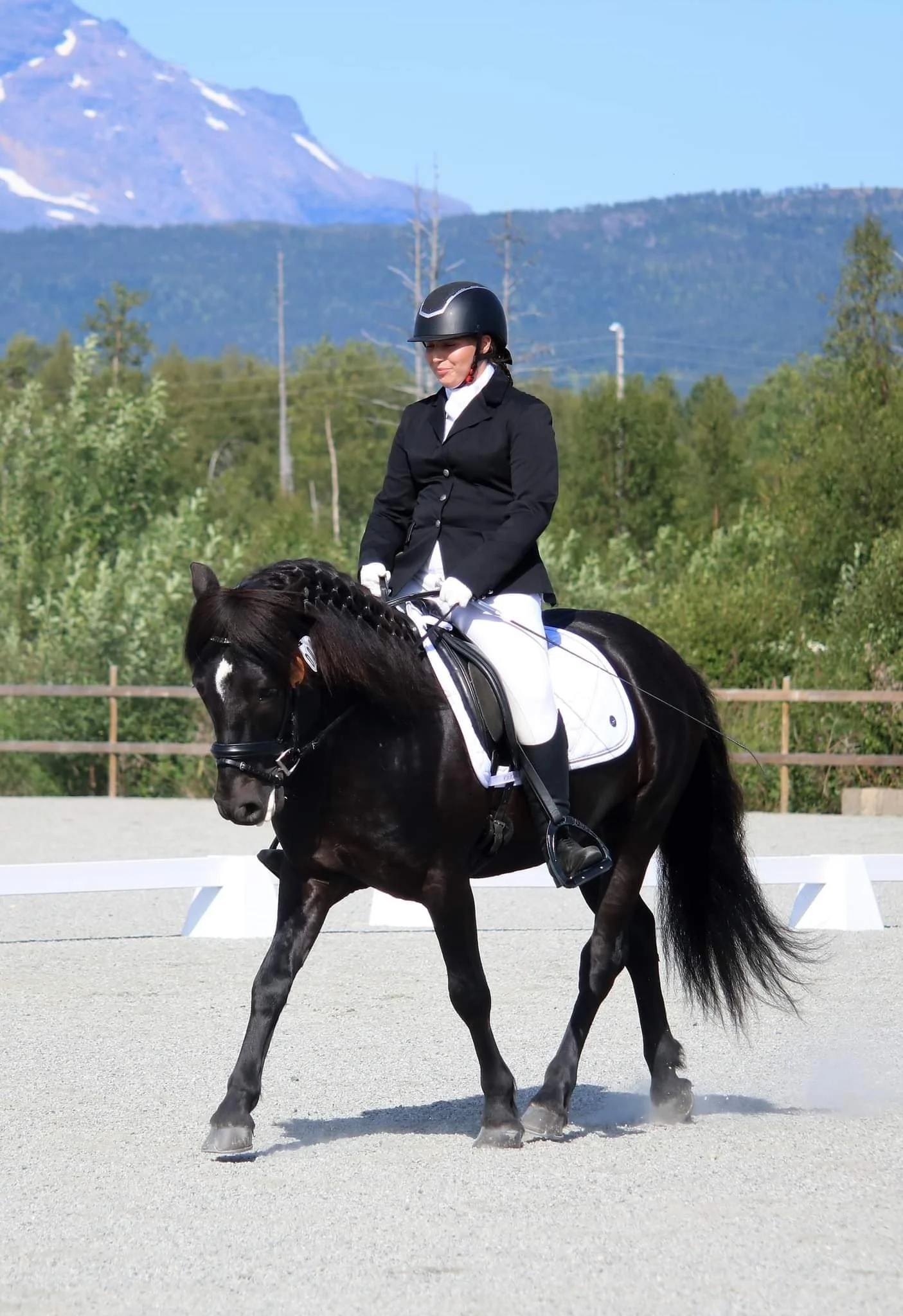 En kvinne i ridingutstyr rir på en svart hest i en ridebane med hvitt skille og grønne trær i bakgrunnen på en solrik dag.