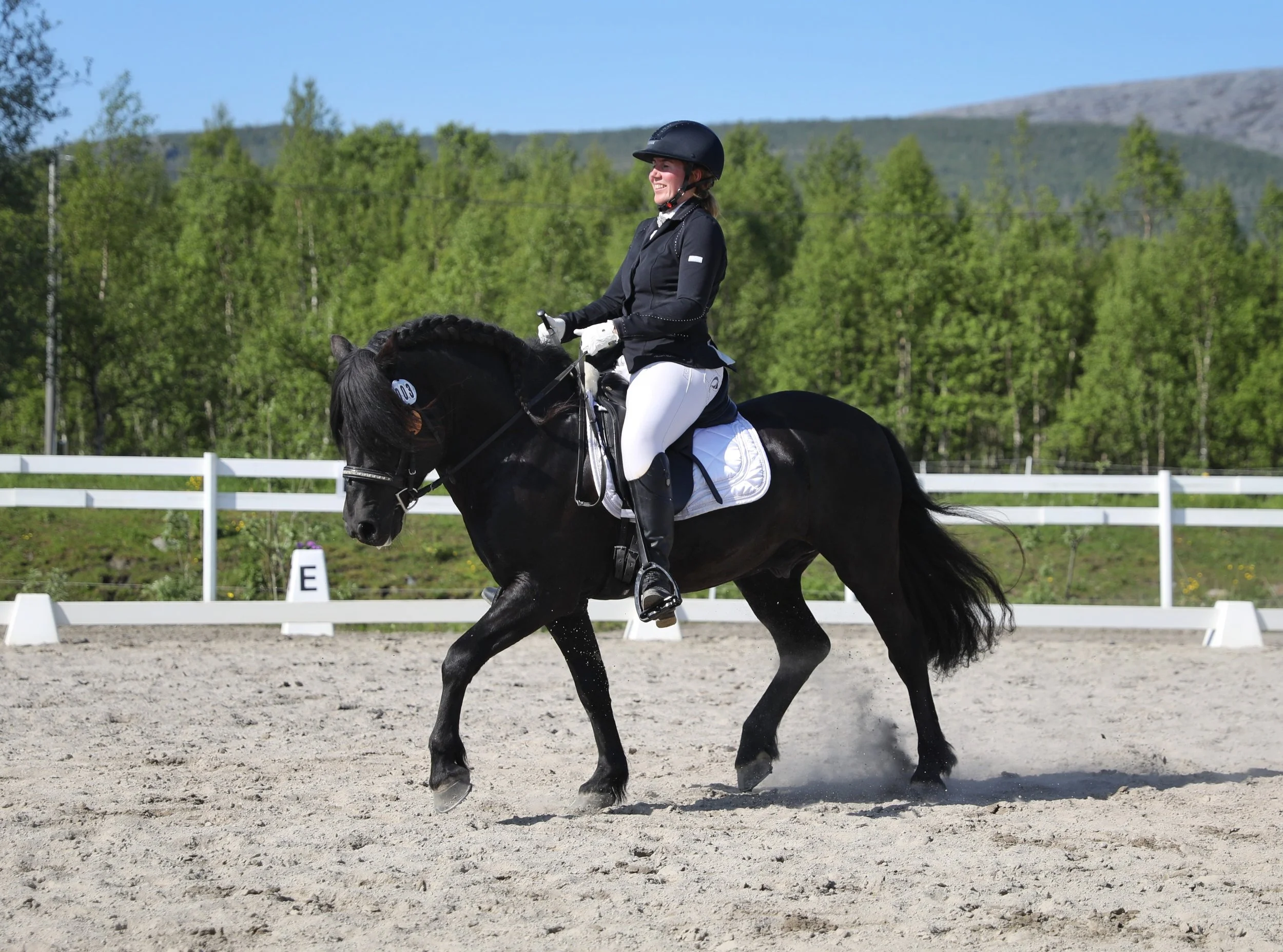 En kvinne i ridingutstyr rir på en svart hest i en ridebane med hvitt skille og grønne trær i bakgrunnen på en solrik dag.