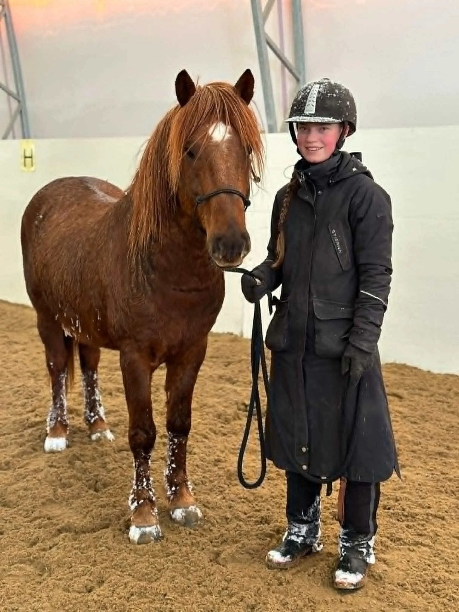 En ung jente i ridetøy står ved siden av en brun hest i en ridehall.