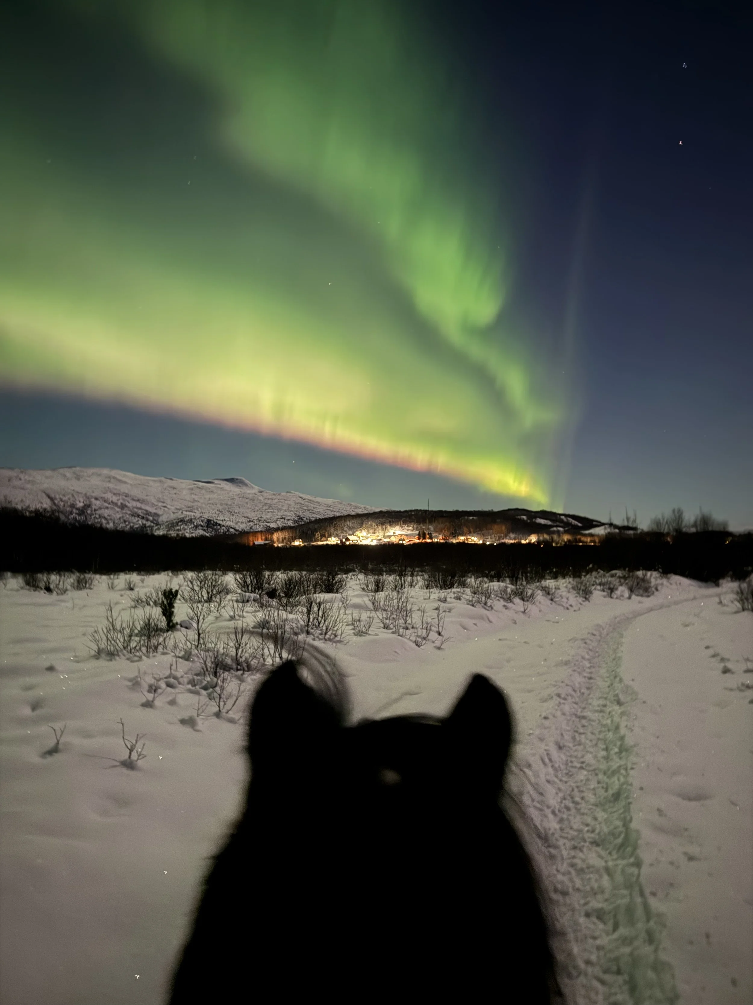 snøbelagt landskap med hus og fjell under en grønn og blå nordlys i nattehimmel,