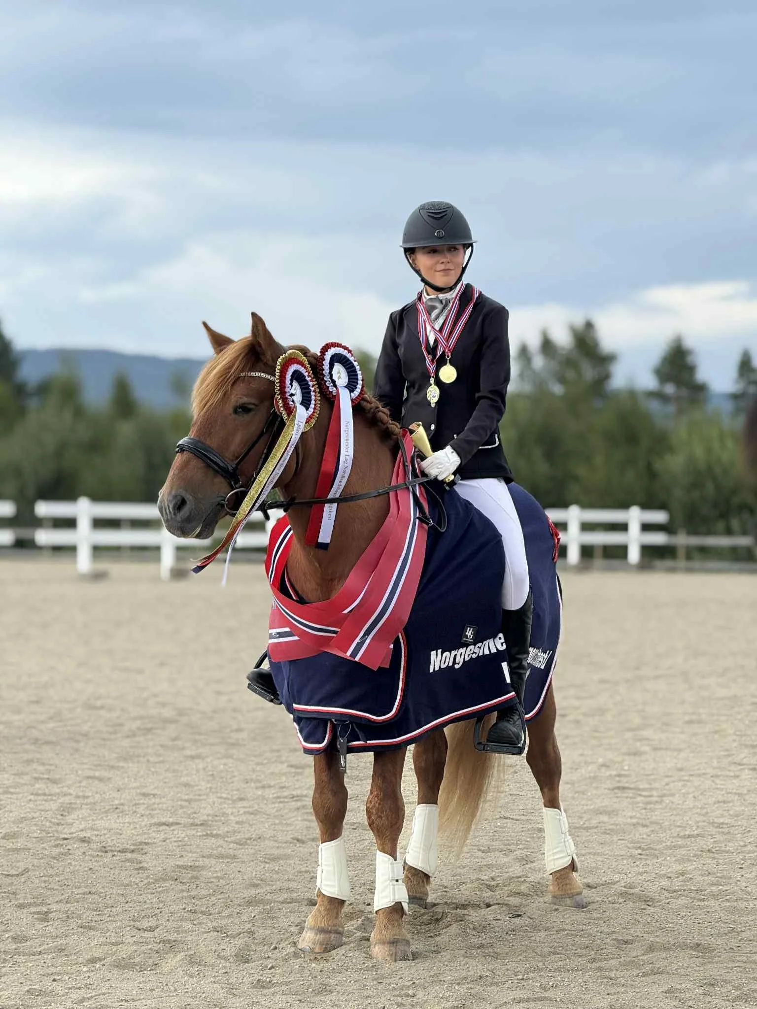En person oppå en brun hest med medaljer og rosetter, utendørs, overskyet vær