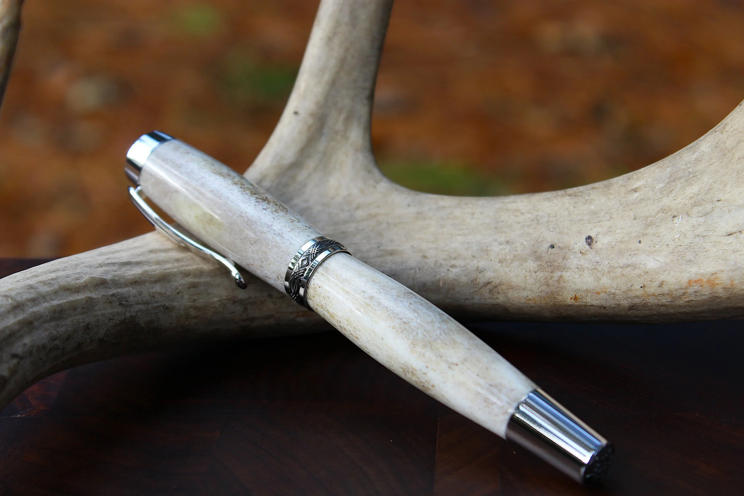 Deer Antler.JPG