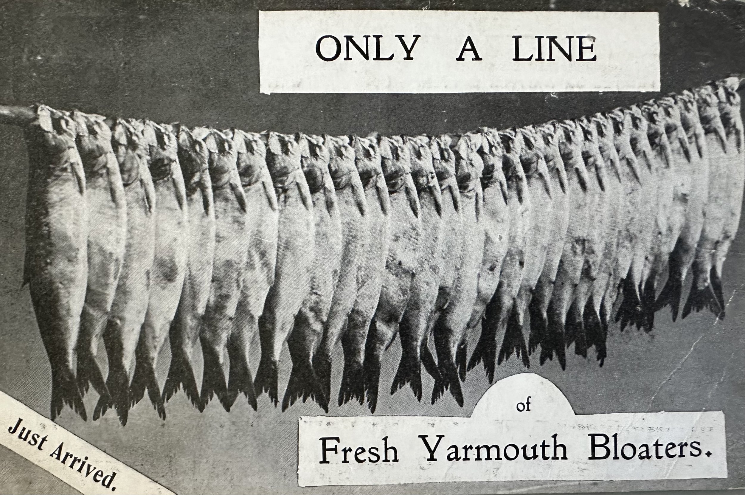Yarmouth Bloaters - old postcard sent to Cambridge c.1906
