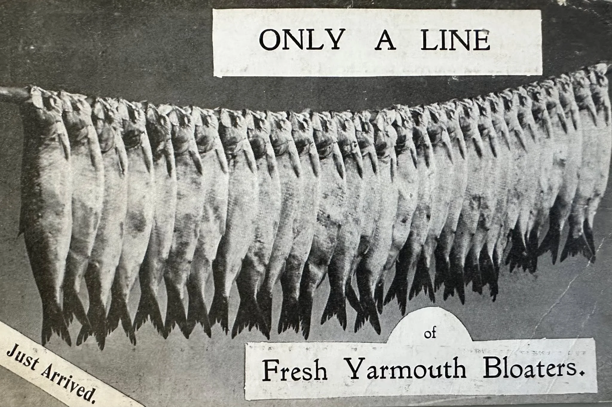 Yarmouth Bloaters - old postcard sent to Cambridge c.1906&hellip;
See more at my website
#greatyarmouth #cambridgehistory #oldpostcards #chesterton #norfolkhistory