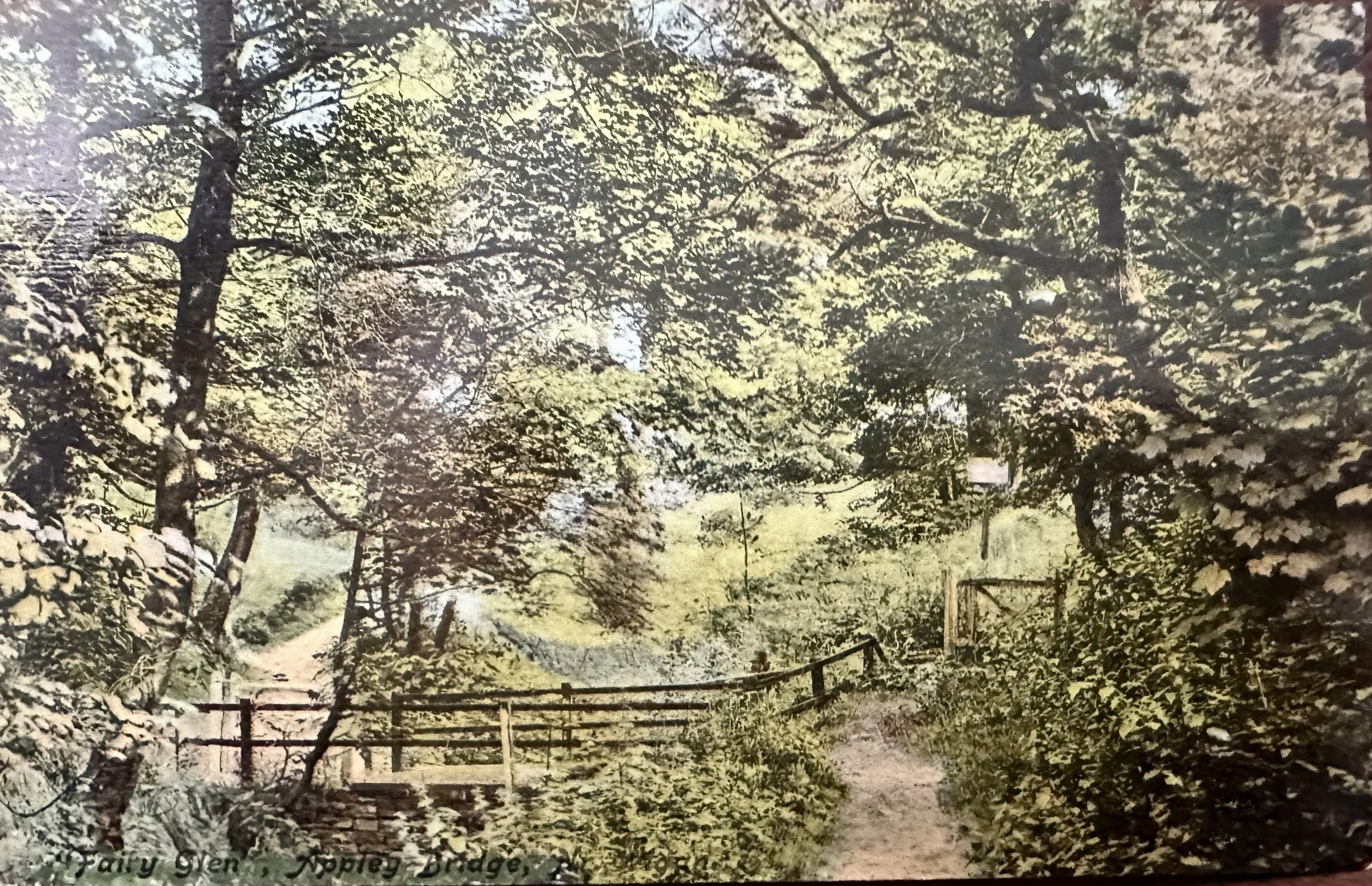 Fairy Glen, Appley Bridge near Wigan - old postcard sent to Cambridge 1906