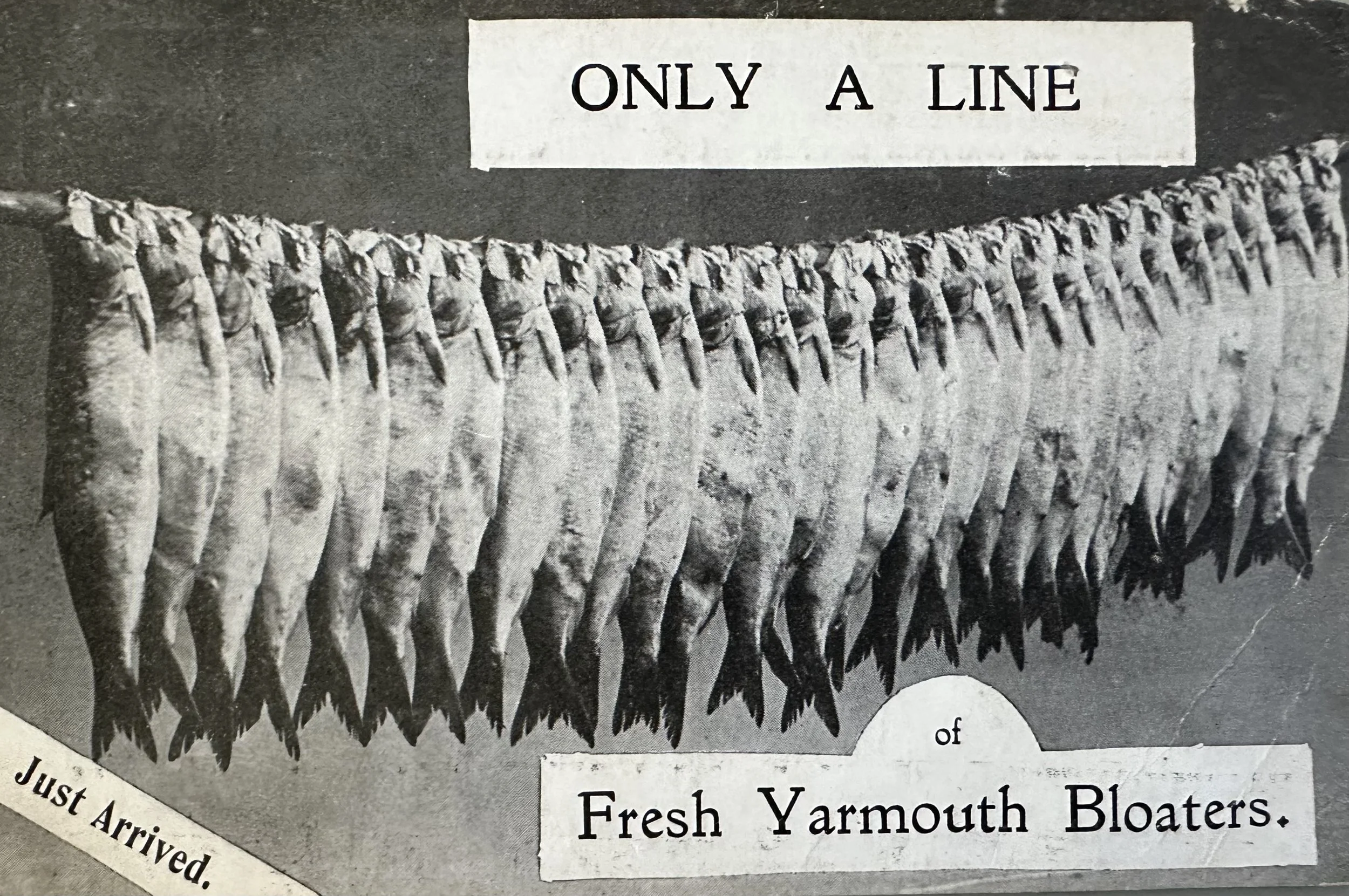 Yarmouth Bloaters - old postcard sent to Cambridge c.1906