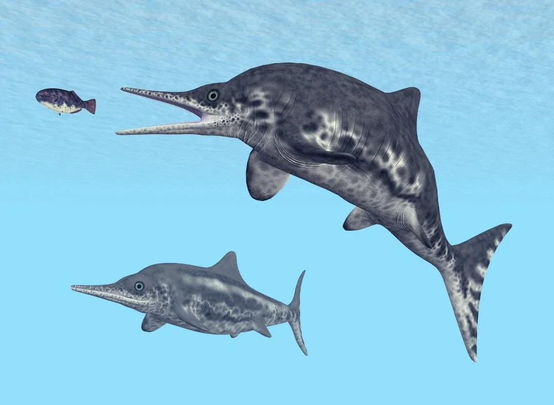 ichthyosaur
