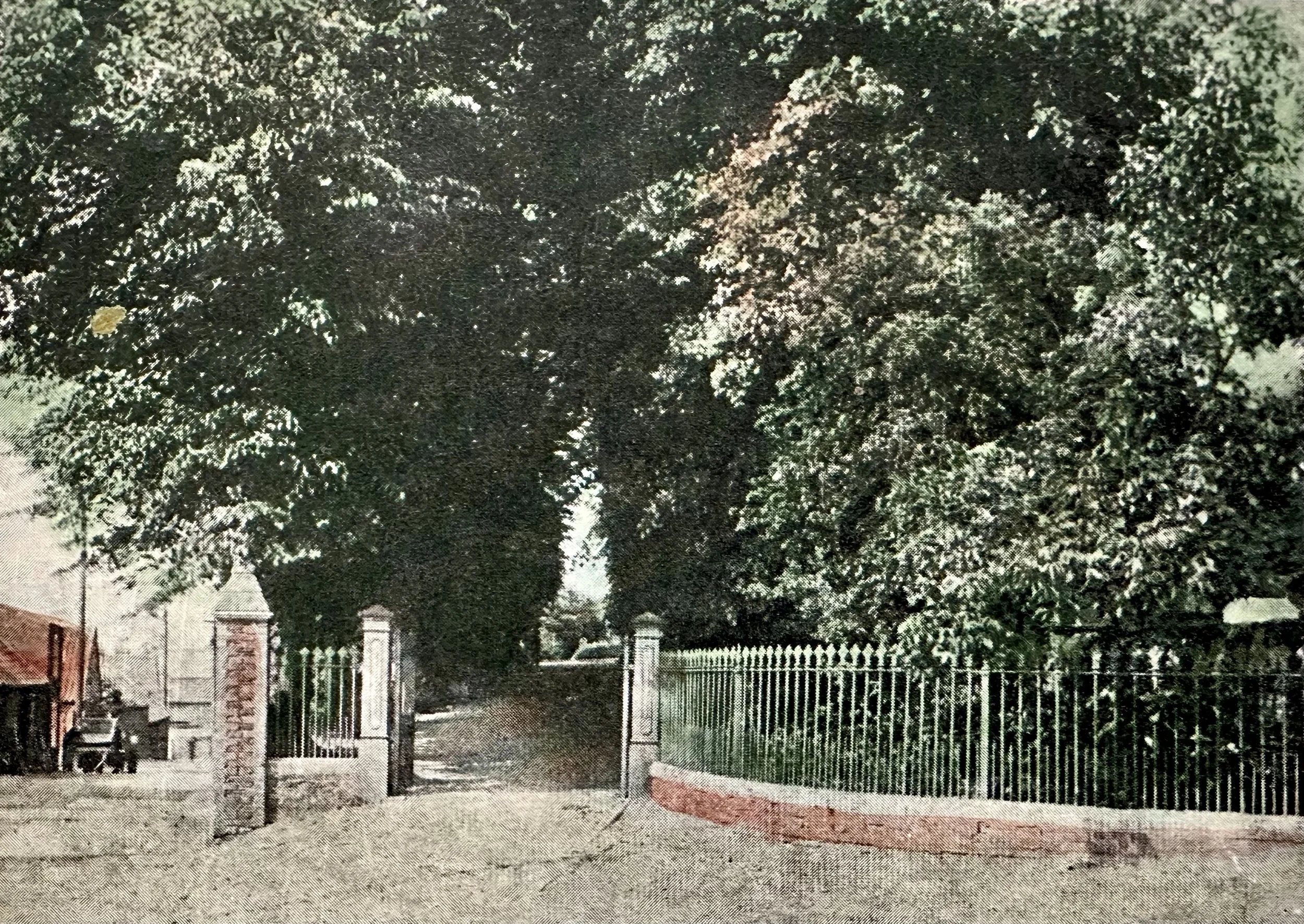 The Avenue, Downham Avenue old postcard