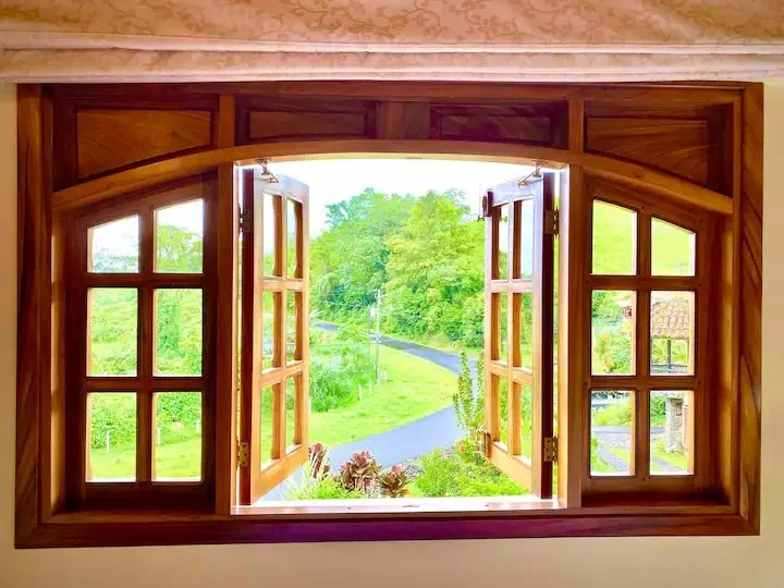 majestic window view.jpeg