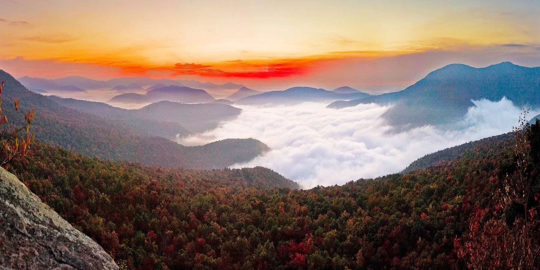 slider-13.webp
