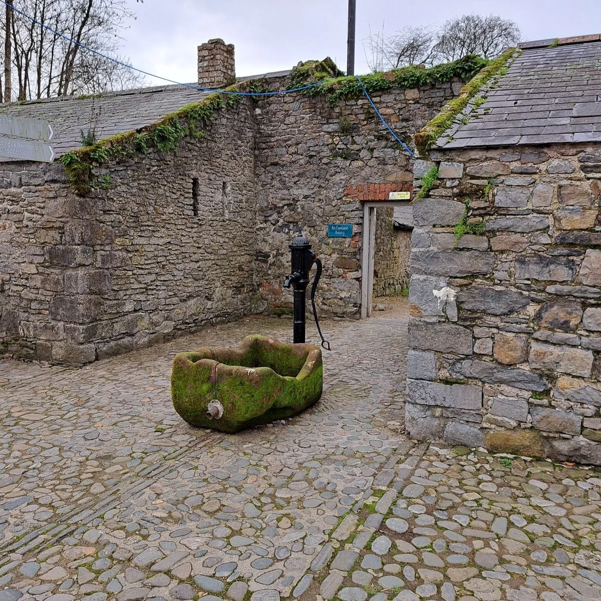 The Trough phpto 2026.jpg