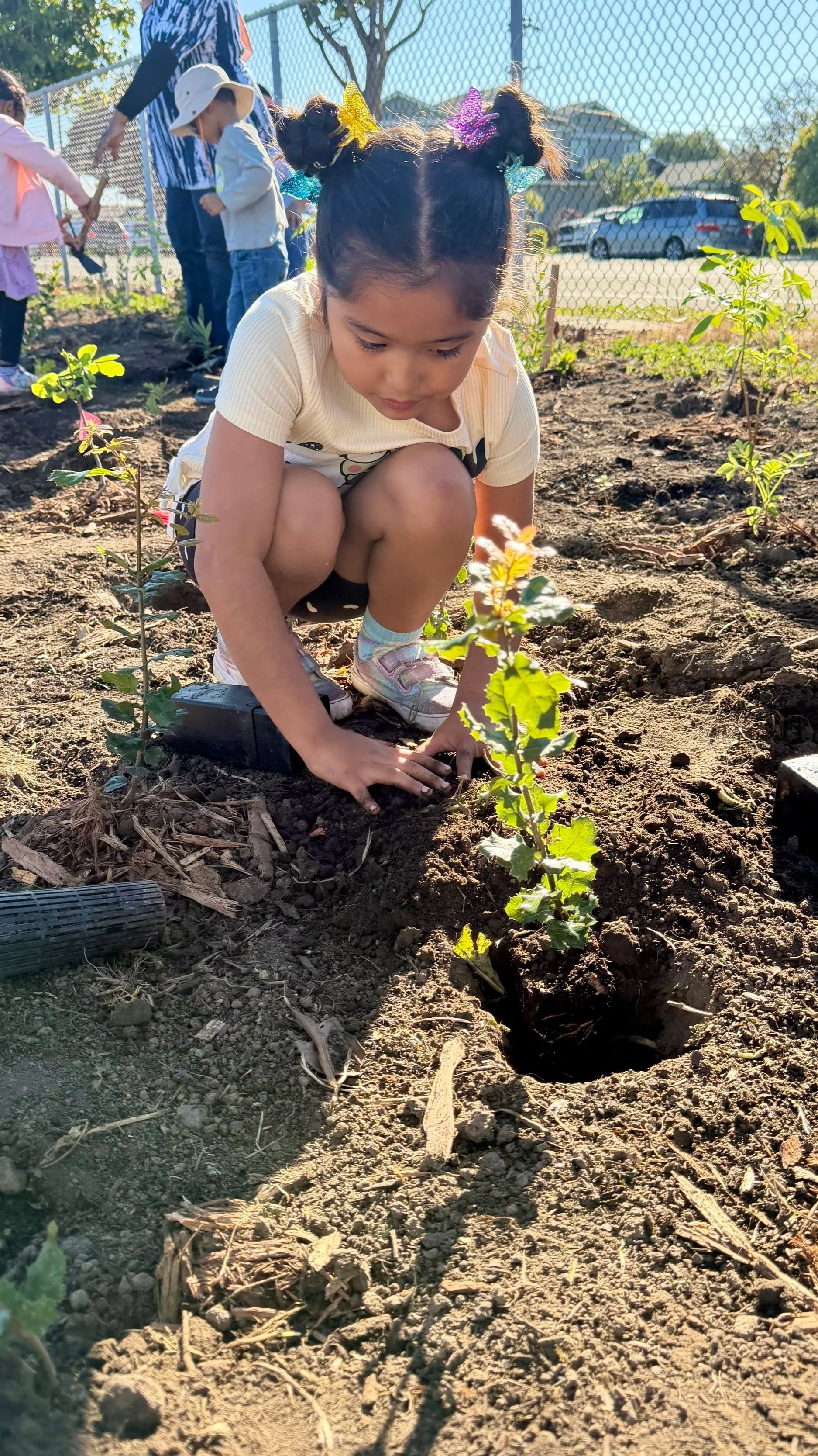 Train teachers to use the NGSS-aligned Green Pocket Forest STEM Learning Curriculum, a 6 week unit which includes biodiversity analysis, growth tracking, and introduces Miyawaki forests as nature based solutions.