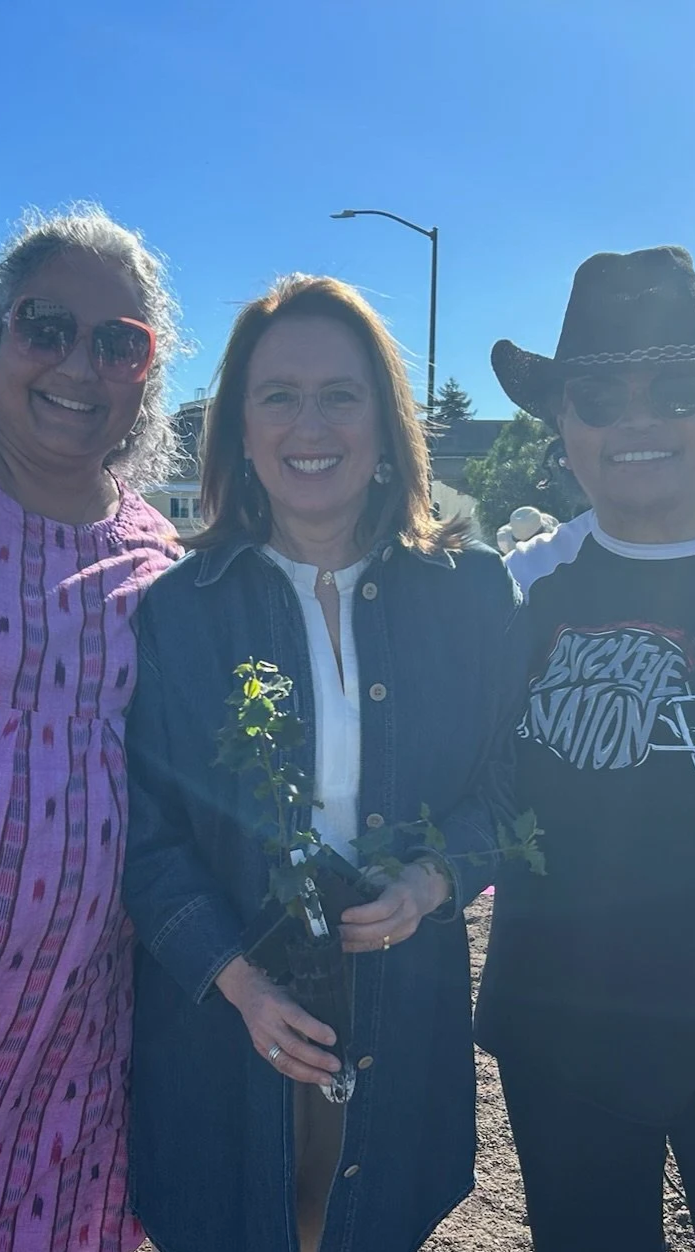 Partner with schools, cities, public servants, and local organizations to create new pocket forests.