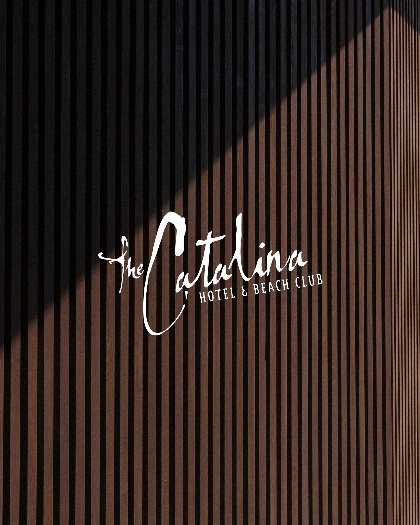 Our new social media client, The Catalina Hotel in Miami Beach. A story &amp; vibe for every brand. 🌴

#miamimarketing #miamihotels #eleven18 #miamibrands #smmarketing