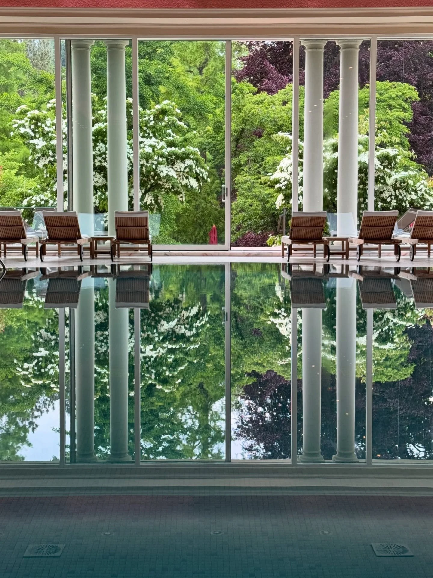 Just wrapped up a relaxing visit to Brenner&rsquo;s Park in Baden Baden, Germany. 

#brennersparkhotel #spahotel #luxurytravel #luxurytravelexperts #luxurygermany #badenbadengermany #fora #foratravel #foratraveladvisor