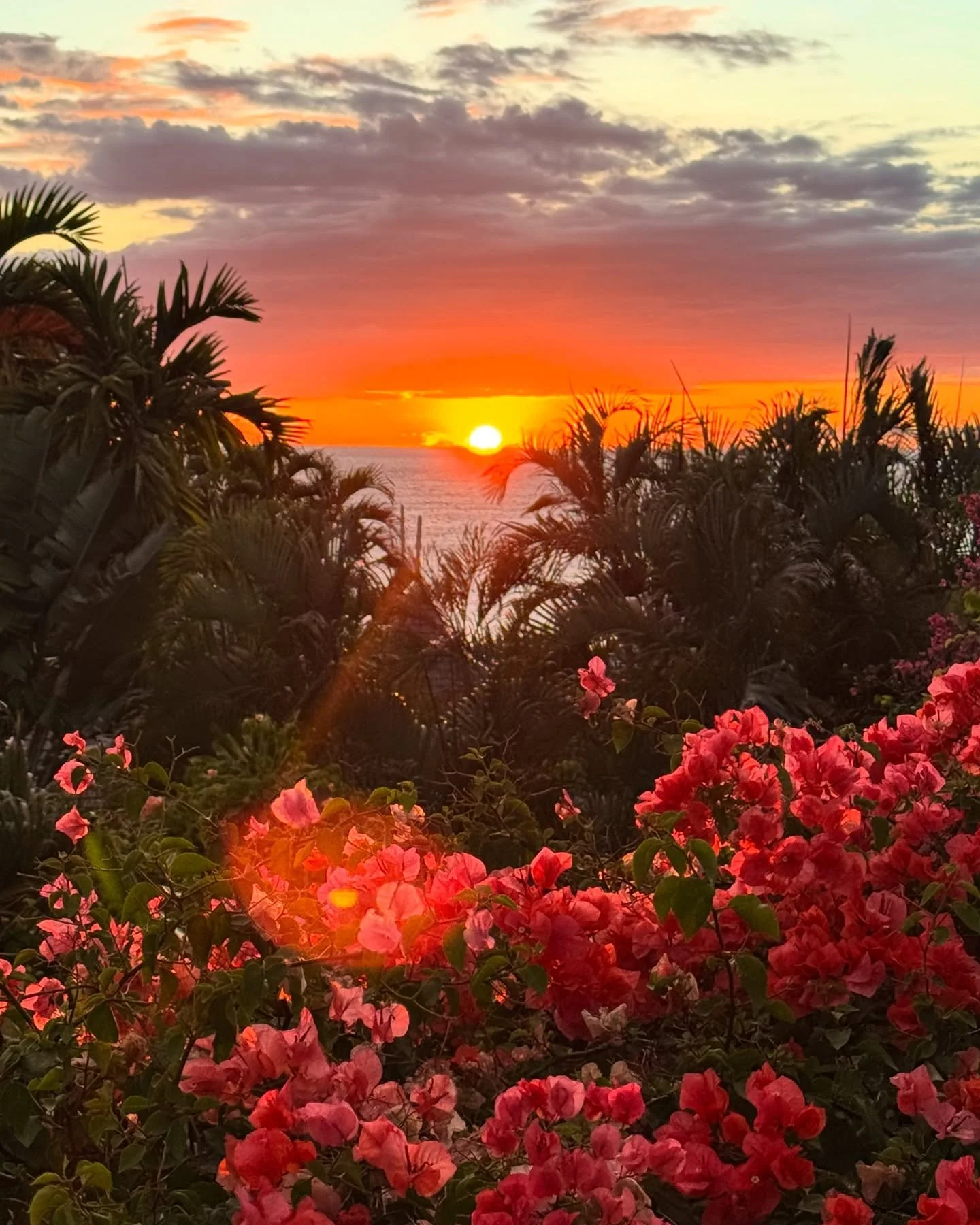 Jamaica 🙏🏼🇯🇲